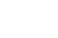 Dealer Cheques